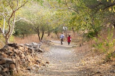 Rear view of people walking in forest