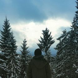 Rear view of a man against trees