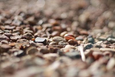 Full frame shot of pebbles on beach