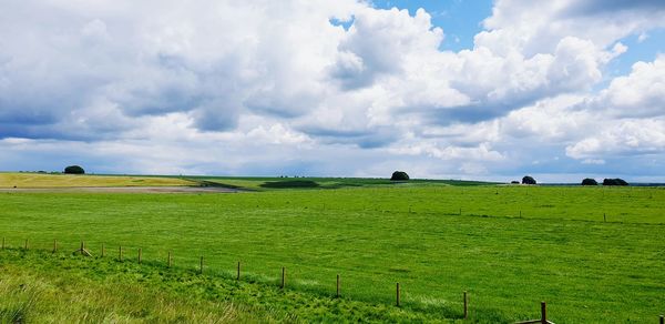 Scenic view of field against sky