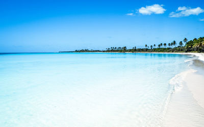 Scenic view of beach against blue sky