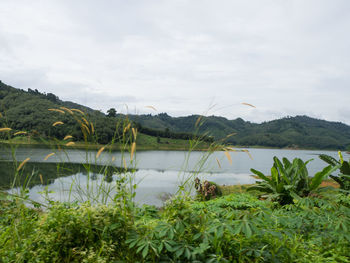 Scenic view of lake against sky
