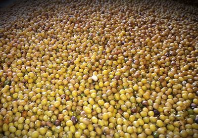 Full frame shot of fruits