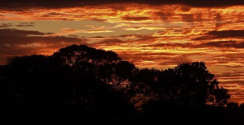 Low angle view of silhouette trees against sky during sunset