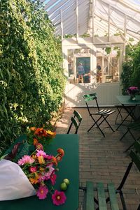 Potted plants on table by swimming pool in building