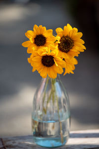 Close-up of yellow flower in vase on table