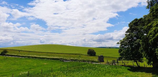 Scenic view of agricultural field against sky