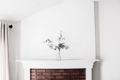 Potted plant against white wall of house