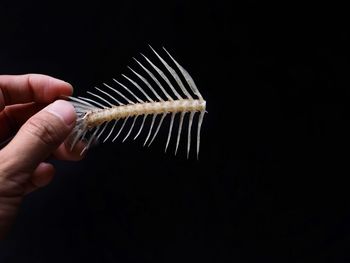 Close-up of hand holding fork over black background