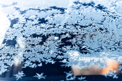Close-up of snowflakes on window