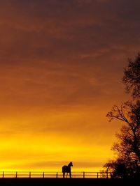 Low angle view of silhouette trees against dramatic sky during sunset
