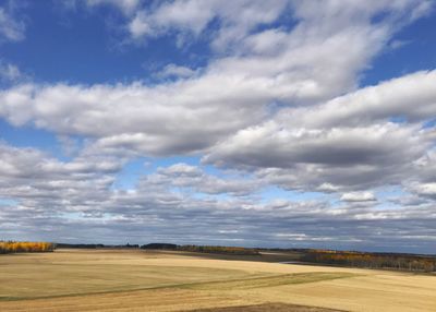 Scenic view of field against sky