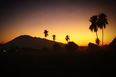 Silhouette palm trees against sky during sunset