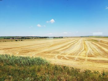 Scenic view of agricultural field against blue sky