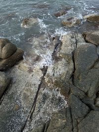 rock