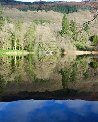 Scenic view of lake by trees against sky