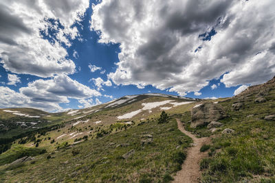 Landscape in the mount evans wilderness