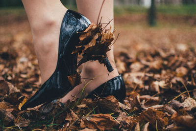 Low section of woman wearing high heels while standing on autumn leaves