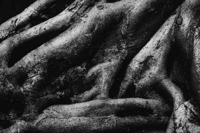 Close-up of statue