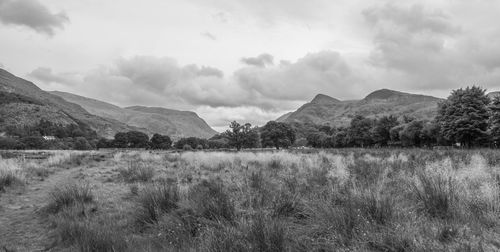 Scenic view of field and mountains against sky