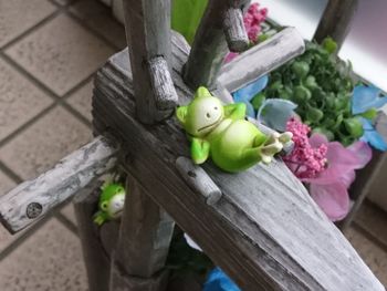 High angle view of stuffed toy on wood