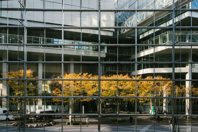 Reflection of building on glass window