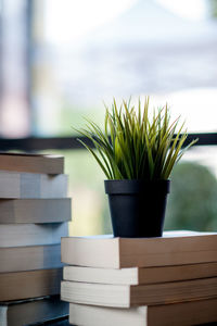 Book placed on the desk a lot of books, beautiful colors for studying, knowledge,education - images