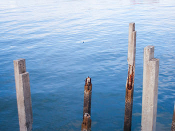 High angle view of wooden post on pier at lake