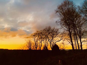 Silhouette bare trees on field against sky at sunset