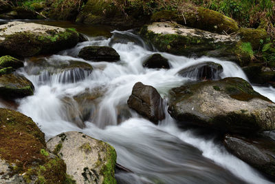 Stream flowing through rocks in forest