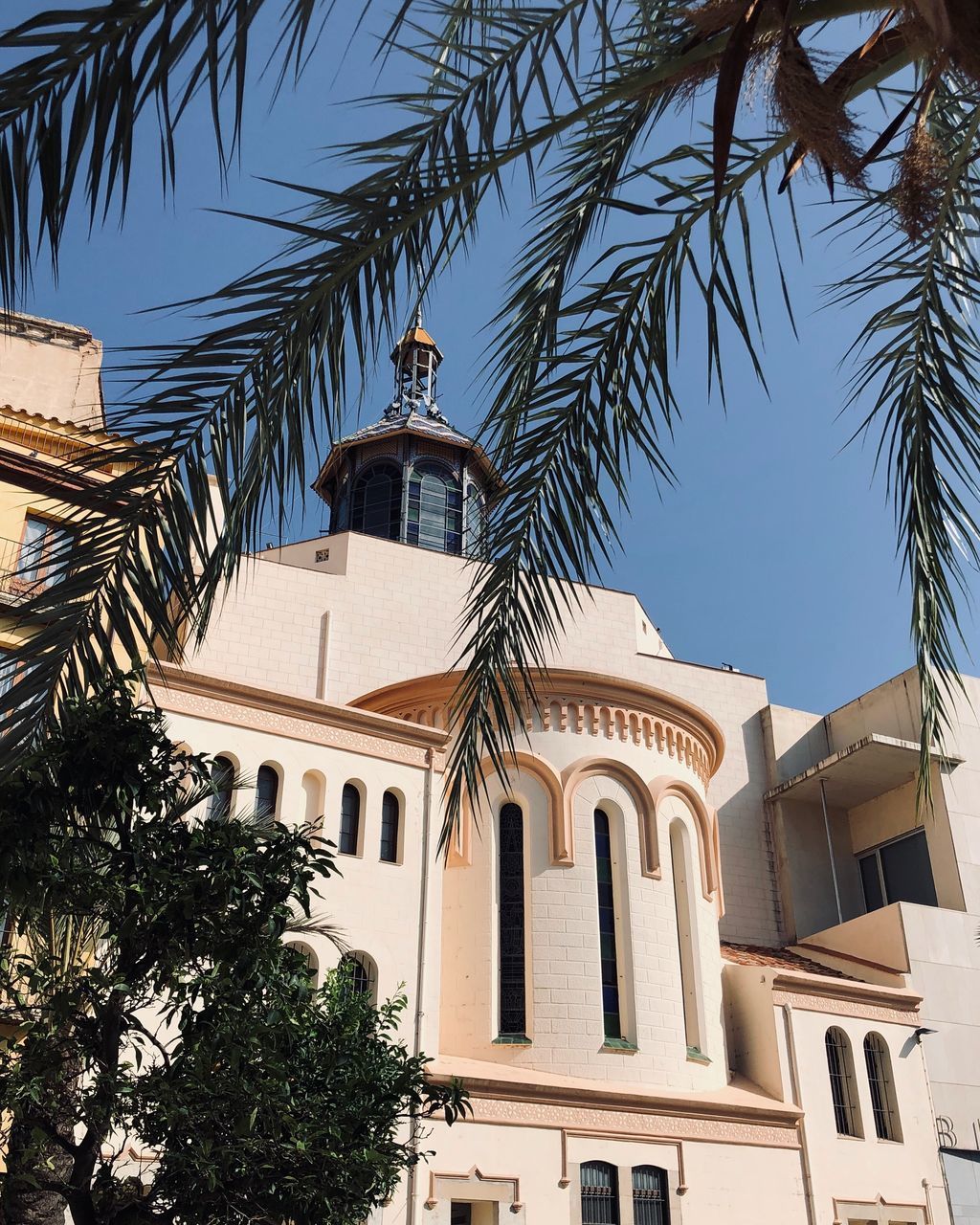 LOW ANGLE VIEW OF PALM TREES AND BUILDINGS AGAINST CLEAR SKY