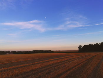 Scenic view of landscape against clear sky