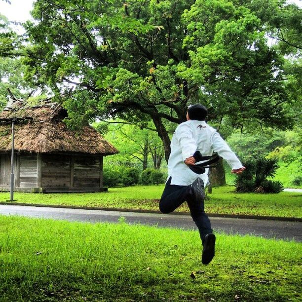 grass, tree, full length, park - man made space, green color, lawn, lifestyles, casual clothing, park, leisure activity, grassy, rear view, side view, growth, field, sunlight, day, outdoors