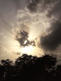 Low angle view of silhouette trees against sky