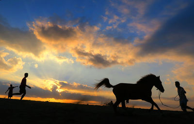 Silhouette of horse on field at sunset