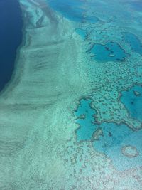 Close-up of sea shore