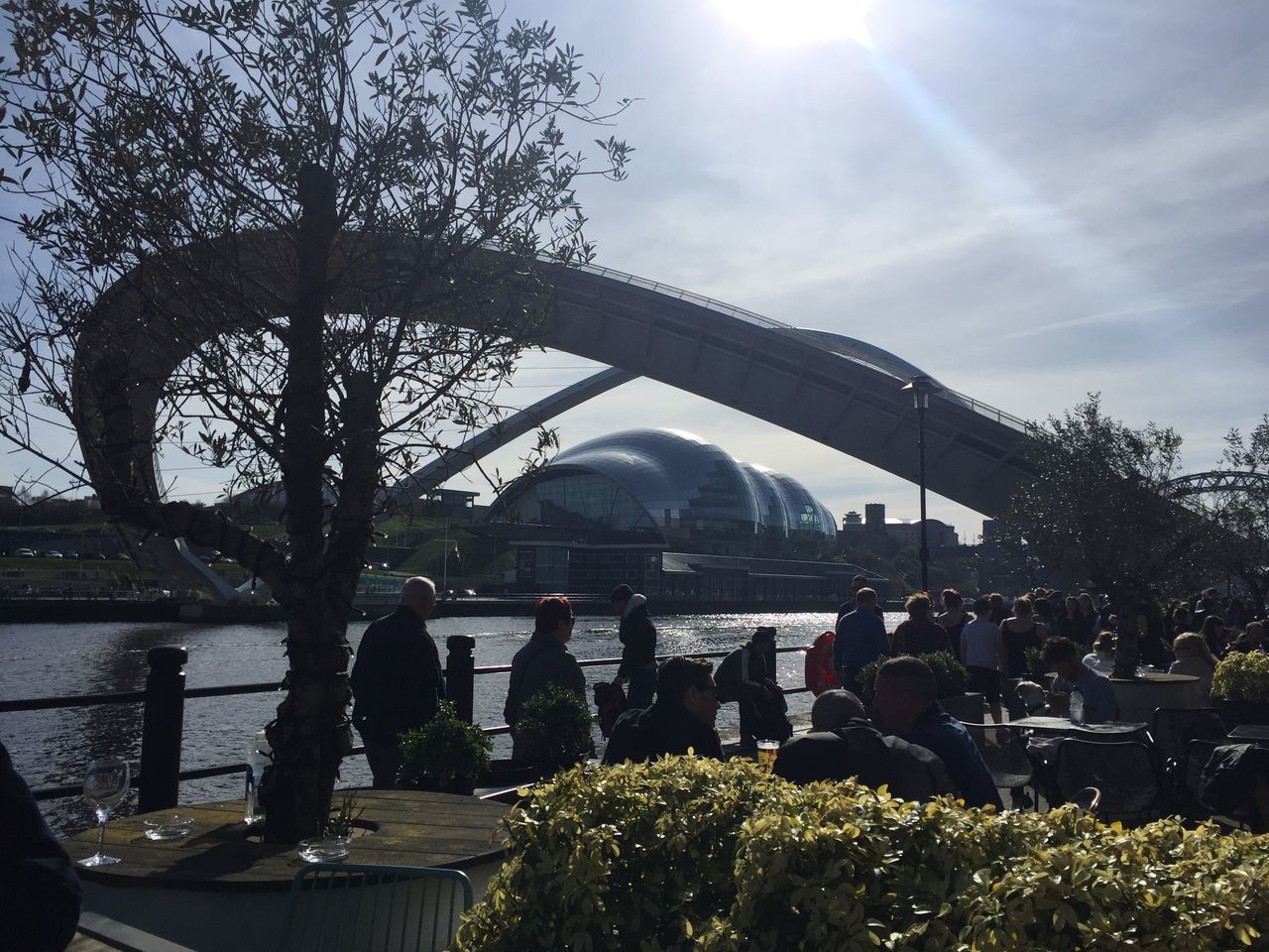 sky, water, architecture, tree, city, day, cloud - sky, bridge - man made structure, outdoors, built structure, growth, real people, building exterior, men, nature, people