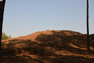 Scenic view of field against clear sky