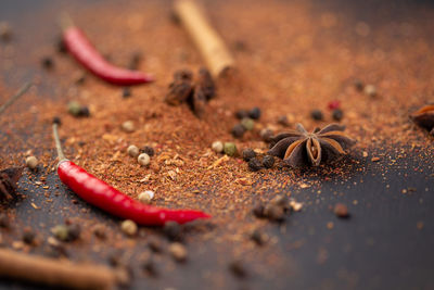 Close-up of insect on ground