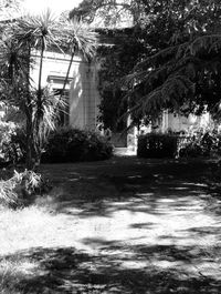 Building with trees in background