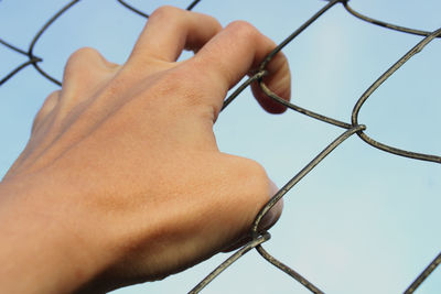 Cropped hand of person holding chainlink fence