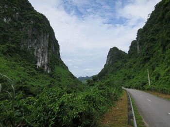 Road amidst trees against sky