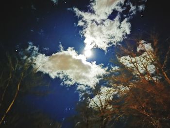 Low angle view of trees against blue sky