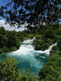 Low angle view of waterfall in forest
