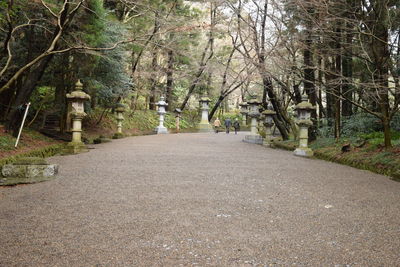 Road amidst trees in forest