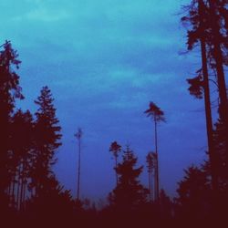 Silhouette of trees against sky at dusk