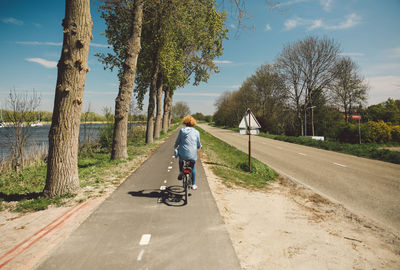 Rear view of woman riding bicycle on road during sunny day