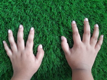 Cropped image of person hand on grass field