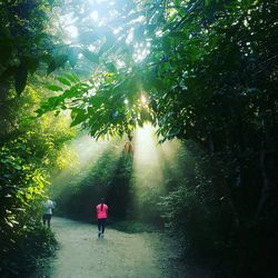 Rear view of woman walking on walkway in forest