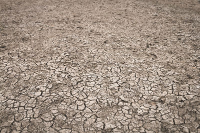 Full frame shot of cracked land